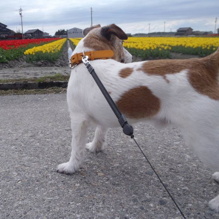 C676dc40 3581 4b4e b0ef ab0b584eee38 1524059444314