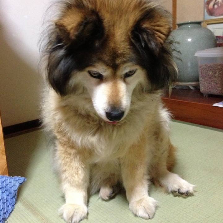 C676e946 a269 4938 a178 e9a1ec74a69e 1595125561950