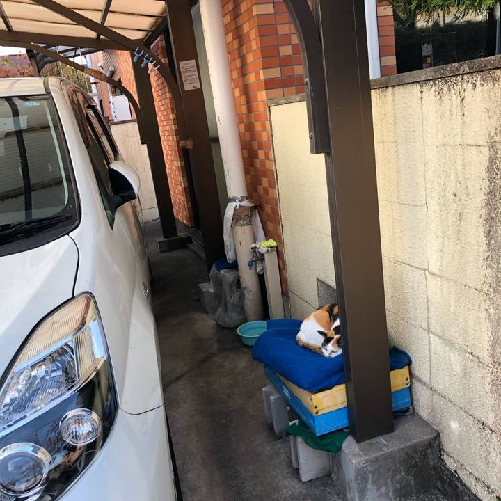 C6771552 12d5 47ac b639 e1b5de1cefe2 1543421314313