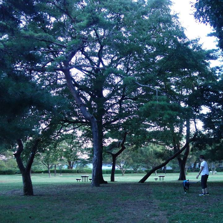 C67716fd 56a3 433e ba38 814ac3b4665c 1691061501407