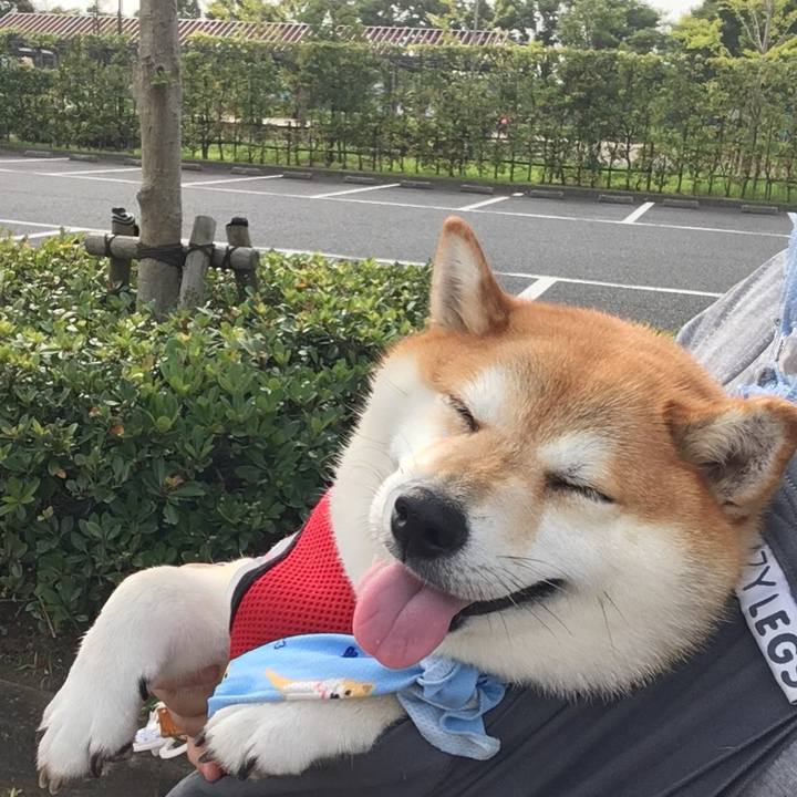 C6771fb8 0dba 4c85 a53b bc6a716e41af 1596845557876