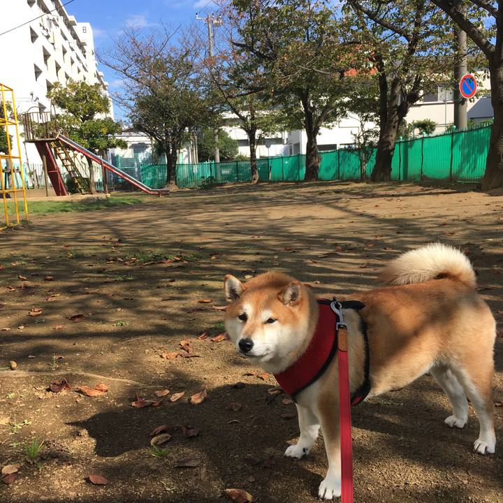 C67725ea b826 4dd3 8a50 3ff062c9aef5 1603514572051