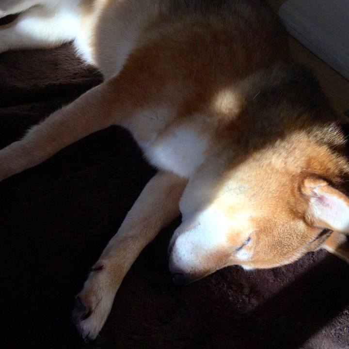 C6773526 8187 479f 9ede 2c5c3a3d24f0 1573362862892