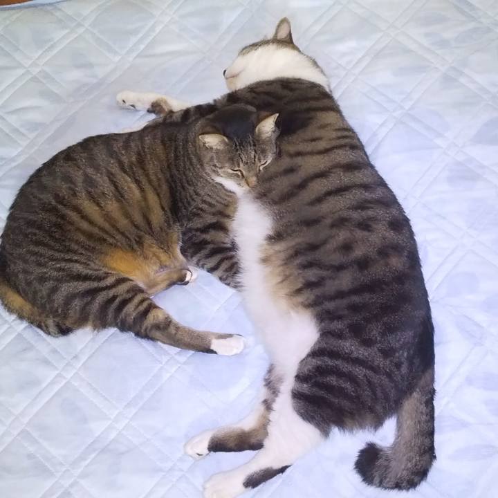 C6778129 2f3a 4645 8a7d 823906626e51 1656681514051