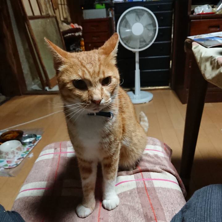 C6778cd6 1243 4e88 ab16 4de5e1fc4797 1598646148163