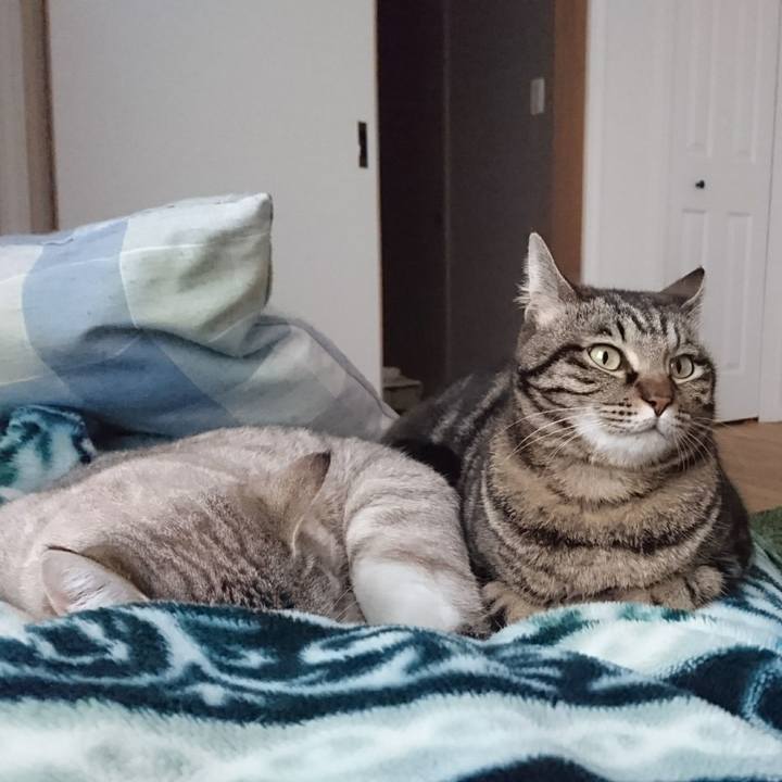 C6779289 5a3e 47b4 8f15 819aa49e176d 1587887015337