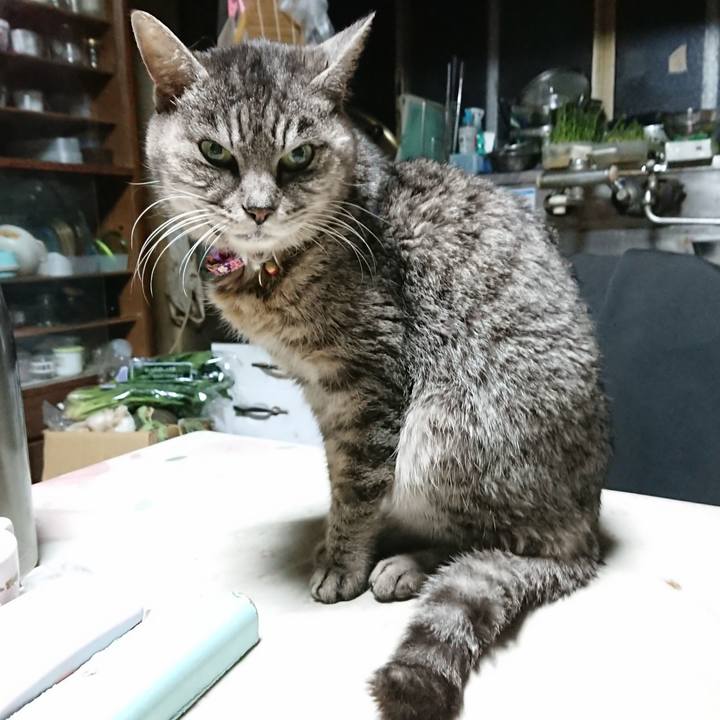 C677d525 2e96 43f7 9859 5dba9e546243 1580676998099