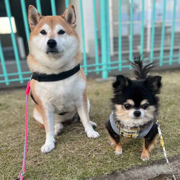 C677dc3e b4a8 4c80 bb4c d1bf602091f3 1701690699348