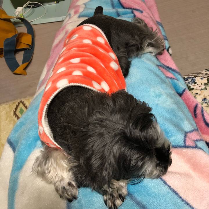 C677e657 989a 4ccc 92dd 94f5b526ac89 1648995958812