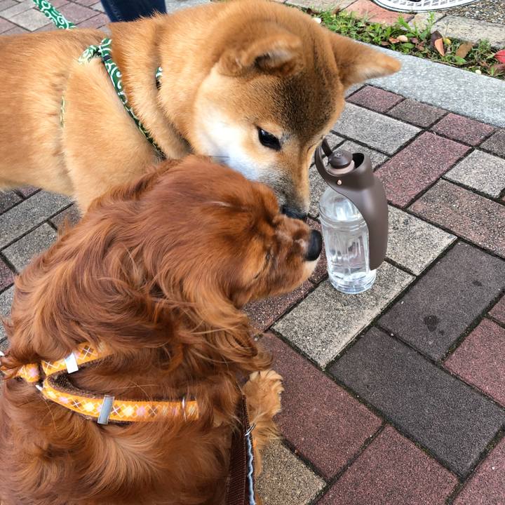 C67818b0 11c5 4bed a6a7 c6058d5ff3e6 1619959091632