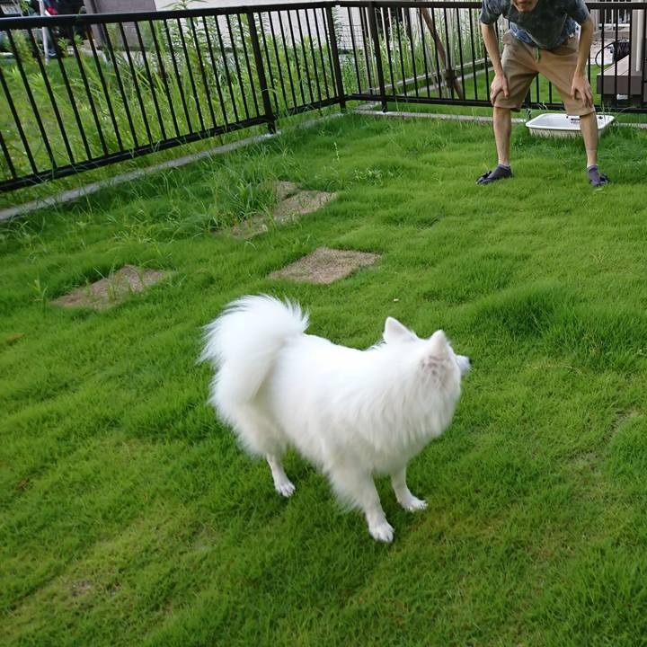 C6781ae6 007e 42f9 9a30 ef85c664bd8d 1531063483753