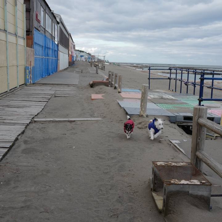 C678af90 a4d3 4946 995f ead3ad9625f1 1575089113070