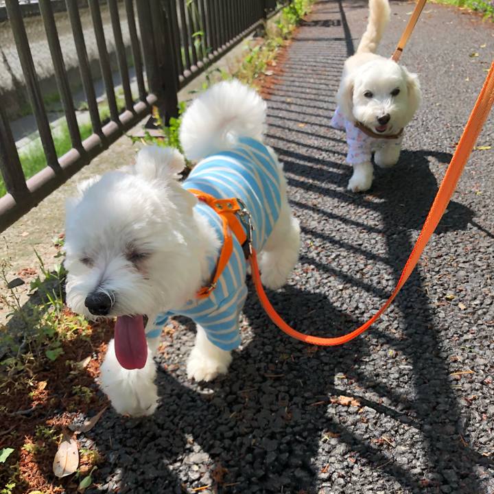 C6790258 10b9 4ddd a421 14559d547c5e 1525308960067