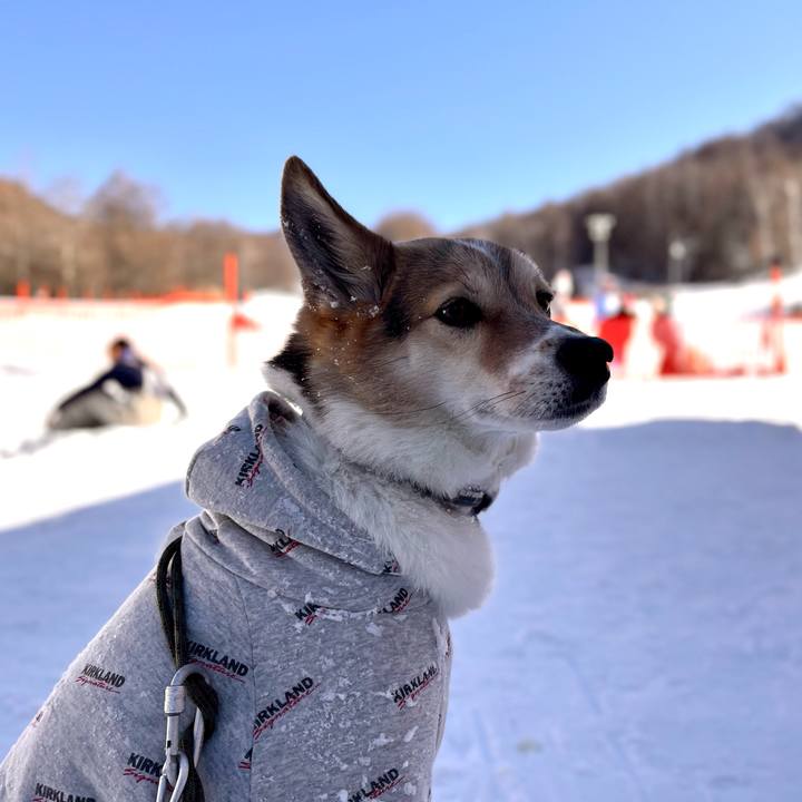 C679361d 4a44 4e06 a16f d340d3608e70 1768018319408