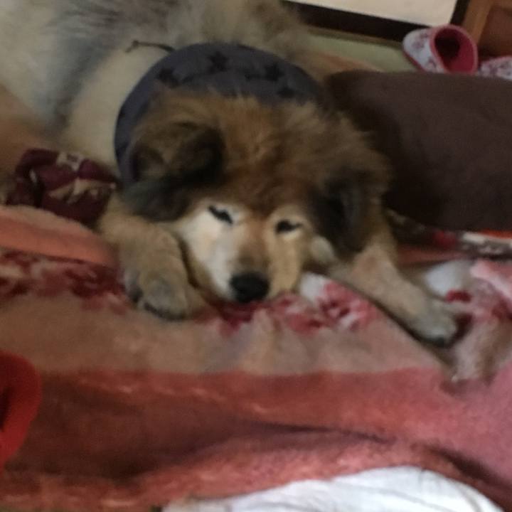 C6797298 df0b 445f b30c de9870770ac6 1609776750859