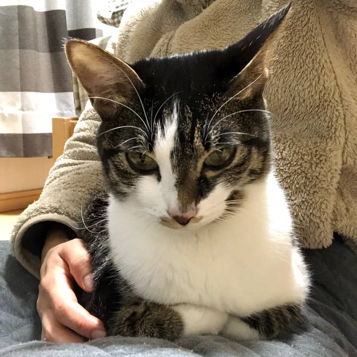 C6798acc 7172 421d 8a88 2a5d4fc9e13d 1515958867028