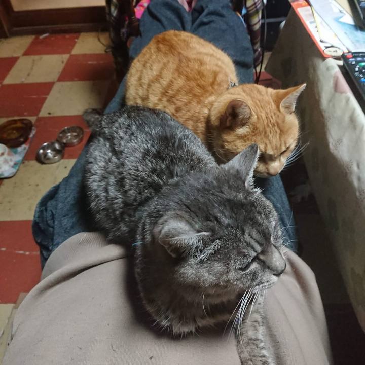 C679a069 a7a1 4b3c 9f68 c452a118987a 1607115498336