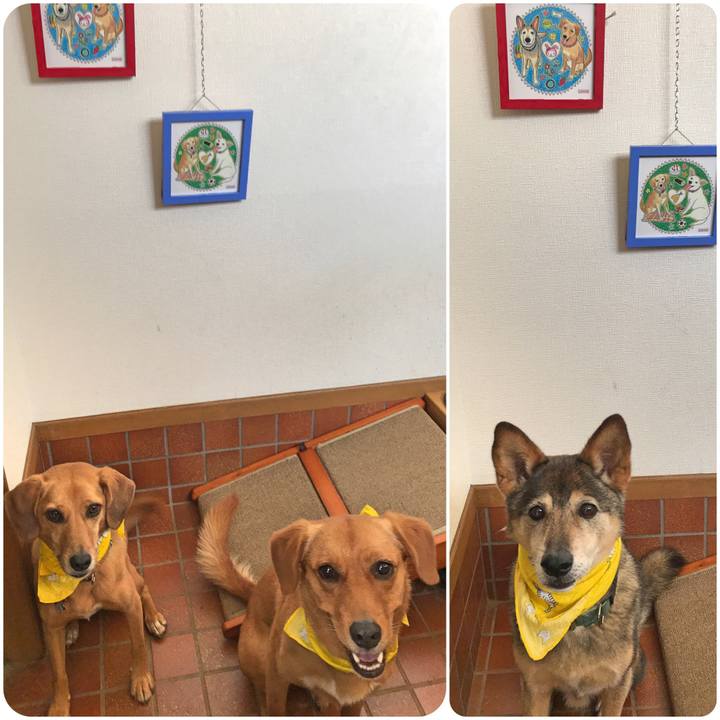 C679a9bf 3a93 4671 a837 86dc269a0563 1533099915346