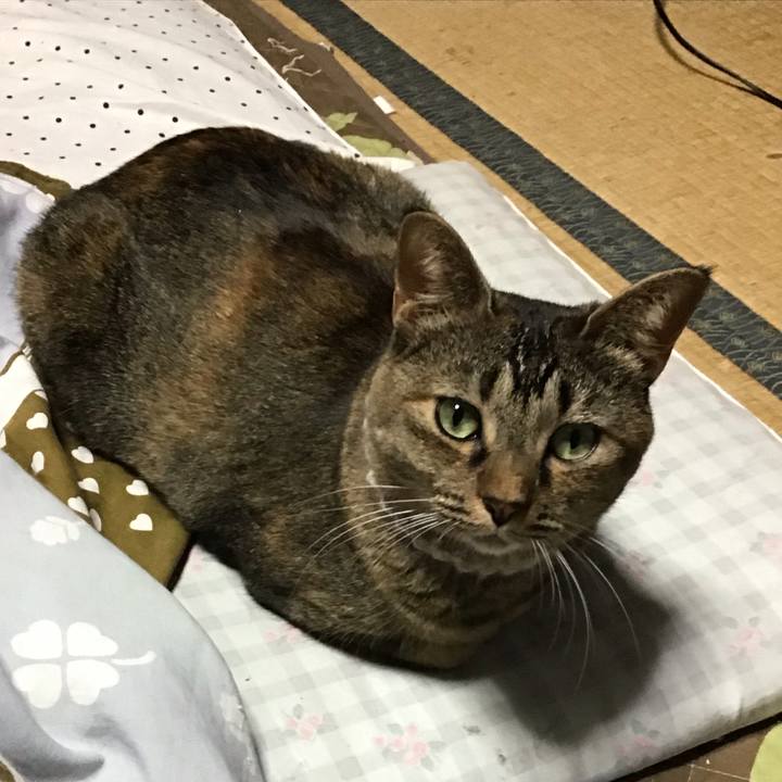 C679c199 b778 468d 936d 4d995a504ec0 1666784481118