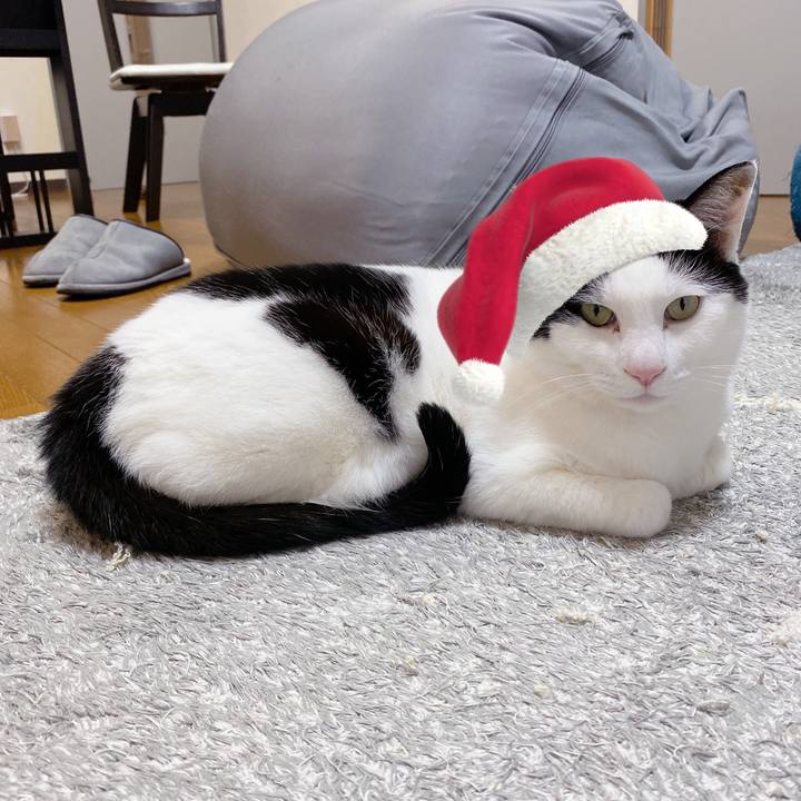 C679c9a5 6395 4cb6 be8c 810203909b56 1640339504046