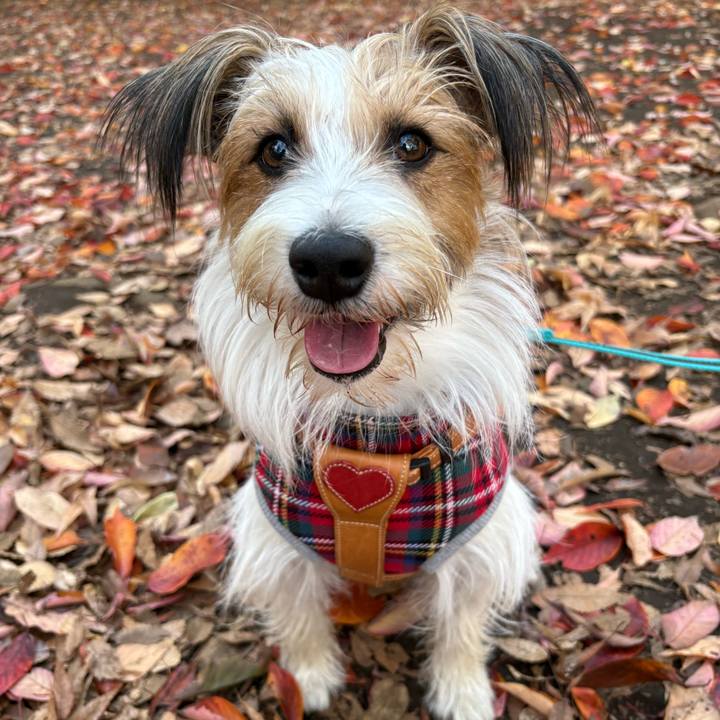 C679d566 e587 4b42 88ac b049711edc03 1763205008442