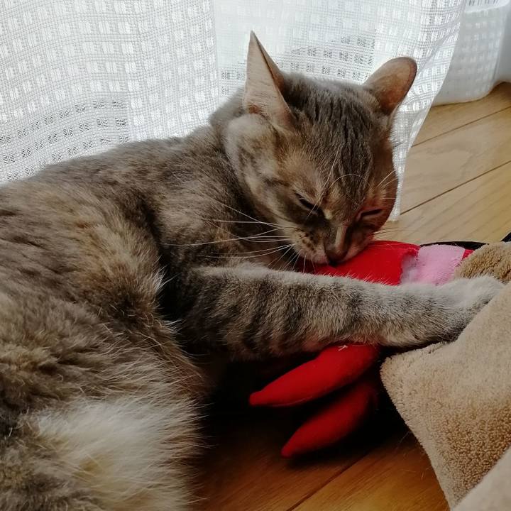 C679d5bc 9379 41dd 952d d2c3bb264633 1523748601052