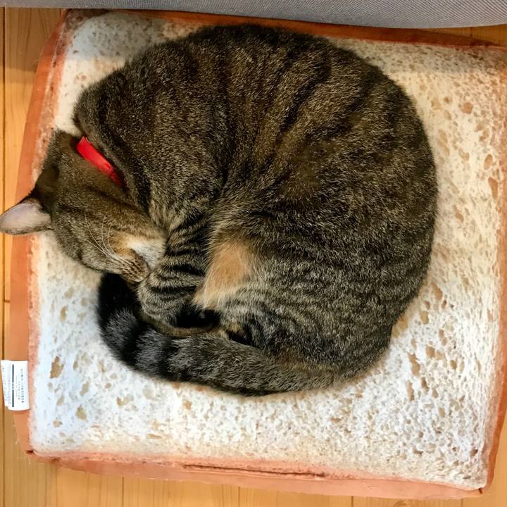 C679fa51 f7b9 4041 a5f9 63eb3f3d7bfc 1539646253515