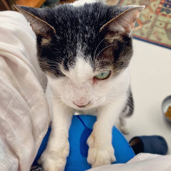 C67a3cb3 e410 403f b964 965ab0d91e78 1611739868795