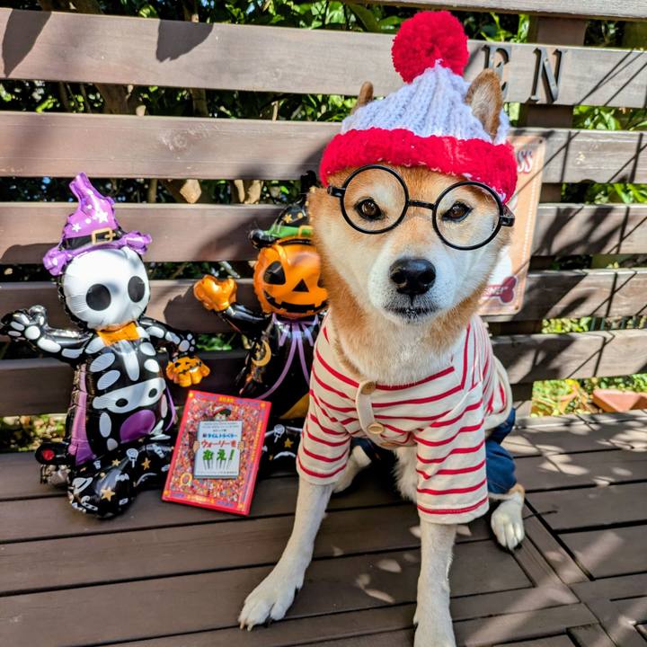 C67a8240 4bb1 4ba4 83d1 45c723c0cbea 1760767896737