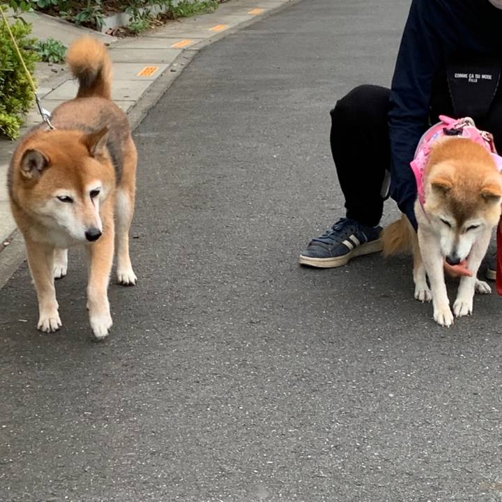 C67ac075 570f 4d30 b07e ae74b09c664b 1661426615414