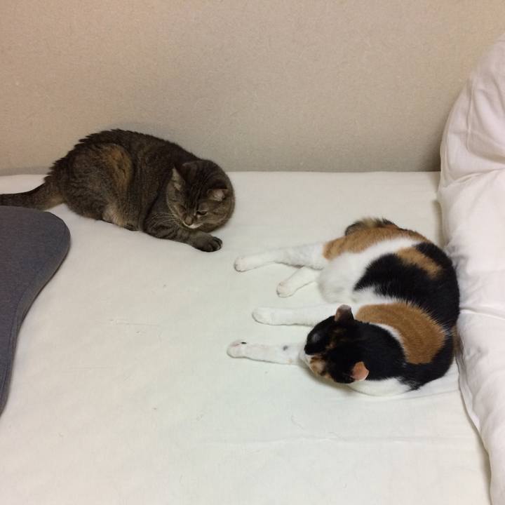 C67b4e11 a3e0 40ae b023 e2ffd01f3ffd 1593989196088