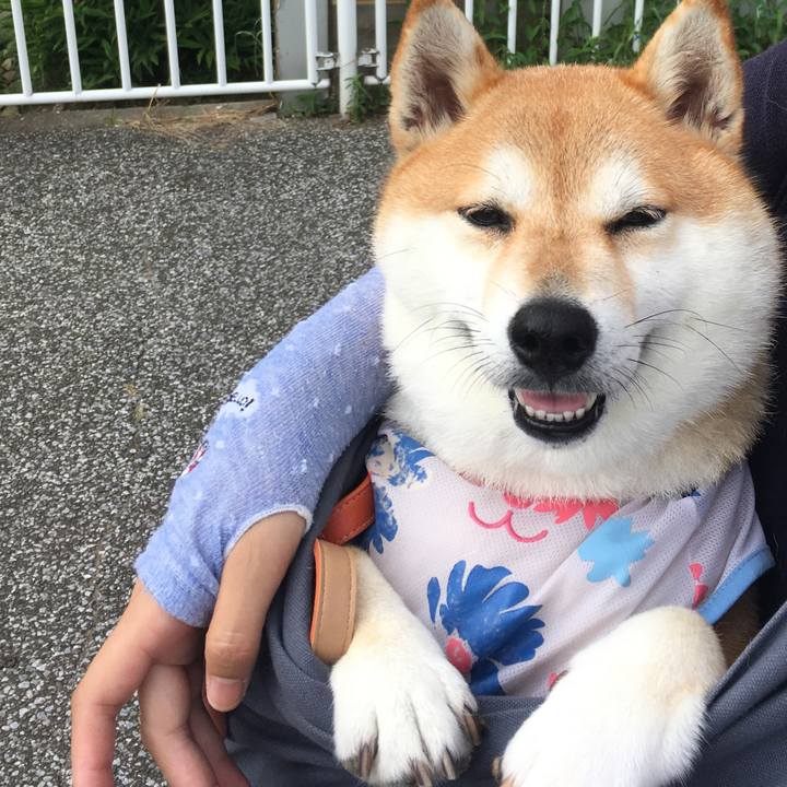 C67b587e d4ba 4259 a98d b55b2436b822 1564617045201