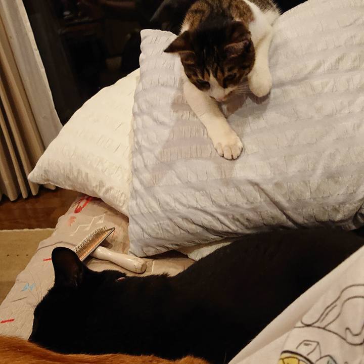 C67b6528 ff13 4163 be4a f801f729541c 1567567887390