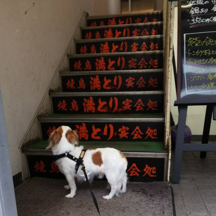 C67baf4b e517 4448 a356 3f10018826b0 1531557610234