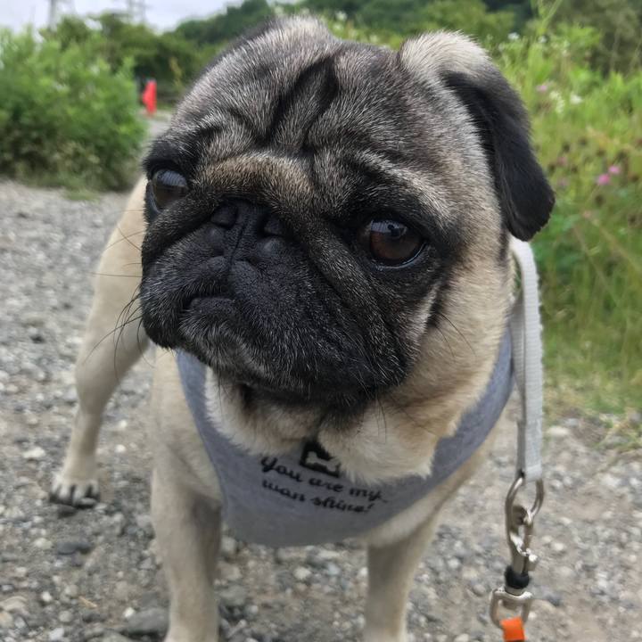 C67bbef0 ac78 4d79 a031 3385042b26e2 1528592219663