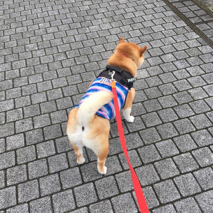 C67bd109 f5e3 466d 84ef 9f97c9f088d7 1593938463162