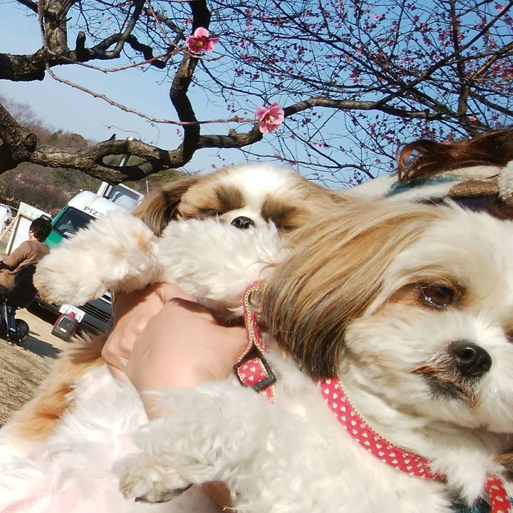 C67c4a84 d7fa 46c6 8fa7 2983bb01d7d9 1552114083679