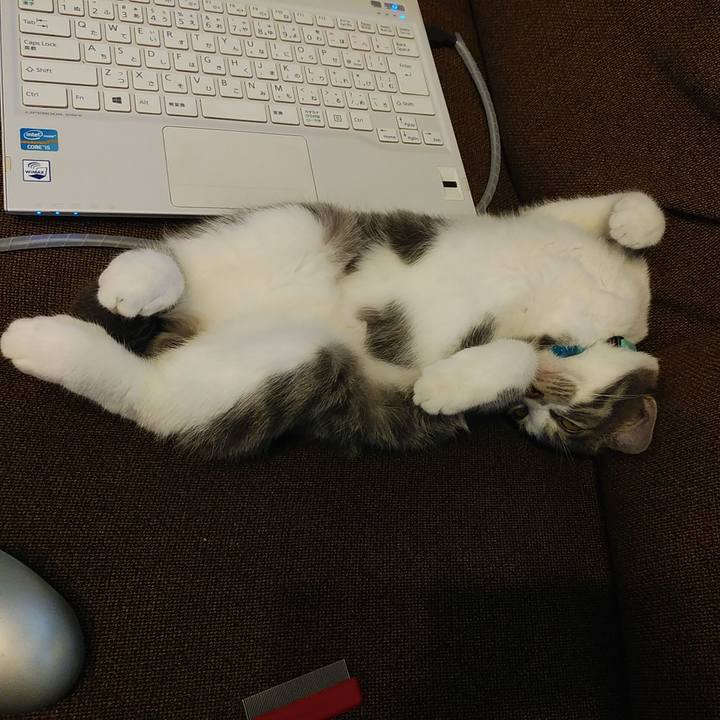 C67c74dd d77e 4dd7 9948 c153cc134fa3 1568352653959