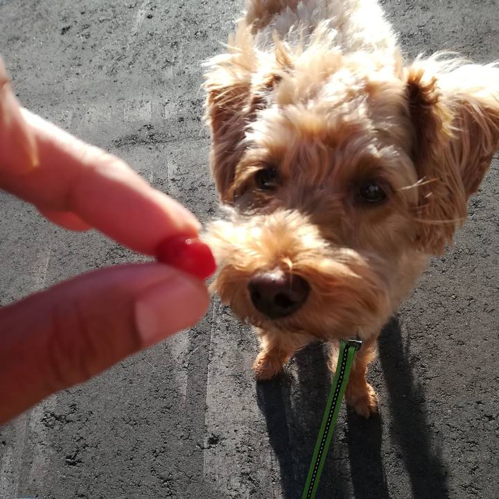 C67c9f96 a23b 4720 8aa1 8bd64b4e7cc1 1563313815737