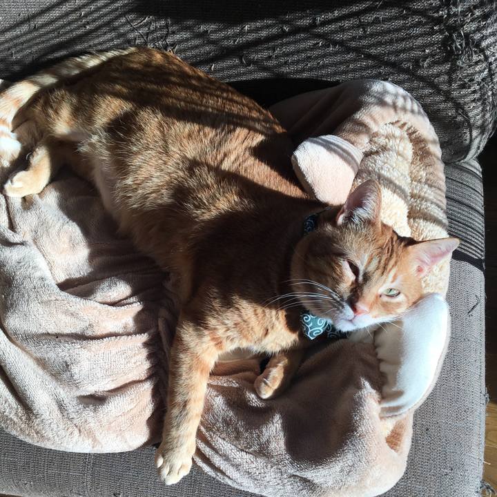 C67ca97f ee5c 445b 8f42 f70255430aac 1552796692268