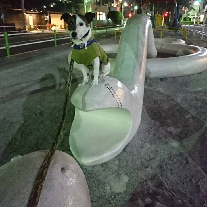 C67cb057 a2f1 4a18 8ec2 70f9d503a2f9 1523533084559