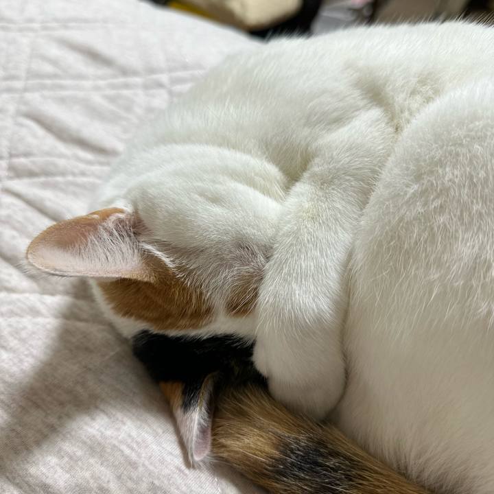 C67d6517 20f3 45b1 a71b 27ab793868d8 1726746403411