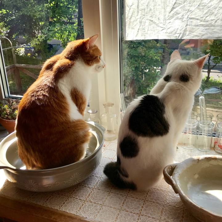 C67d9cbc 3a93 4570 babe 417521655683 1533338629594