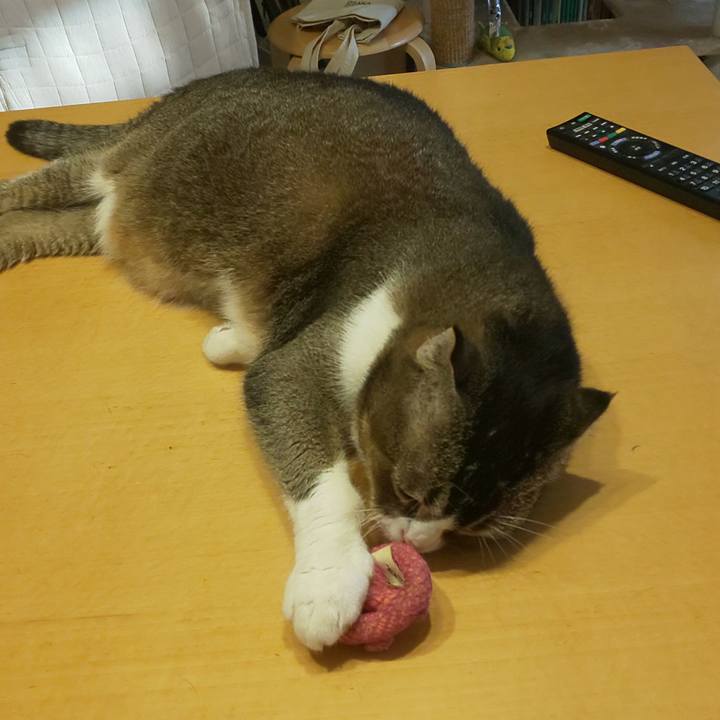 C67da3be fee5 403d 9c36 fd0d317602a6 1757456320036