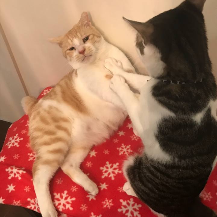 C67df1ae 9d5f 4d11 adf9 dc5924682b6f 1521471503257