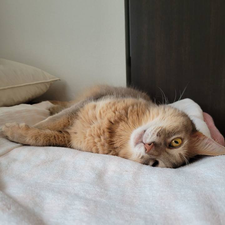 C67dfafe 8576 4a92 b2bb 3d464cf6577e 1631445474815