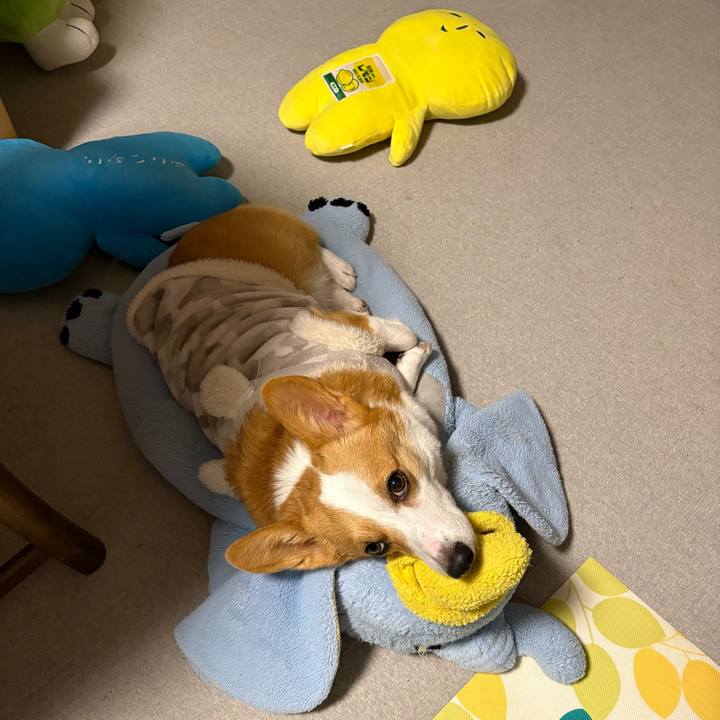 C67e20b9 2598 4365 b7a1 d30723d671d2 1768139770404