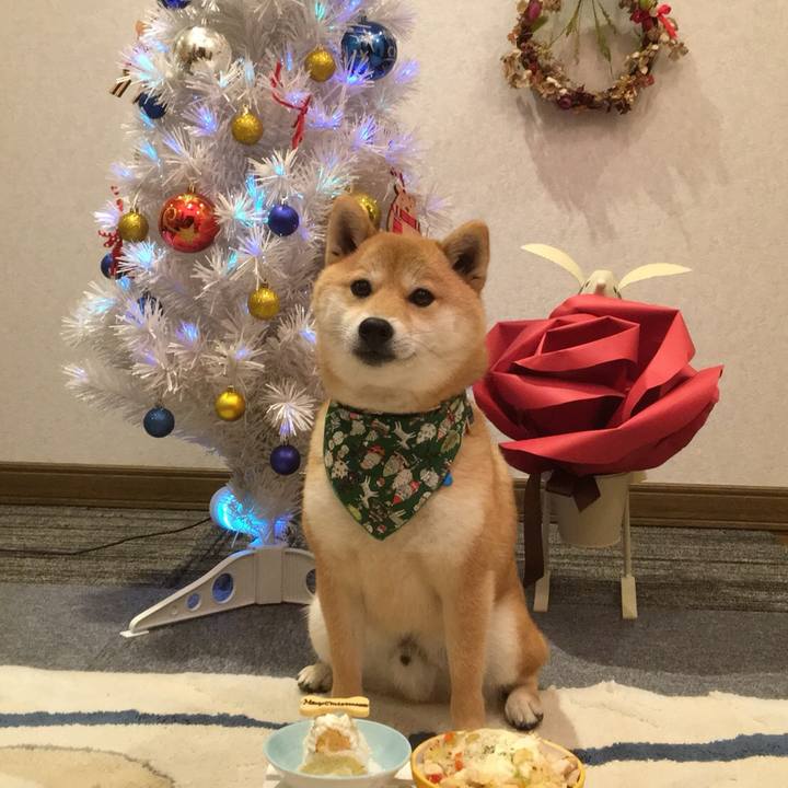 C67e224c c352 4914 a123 6536a9bb10c2 1514106512868