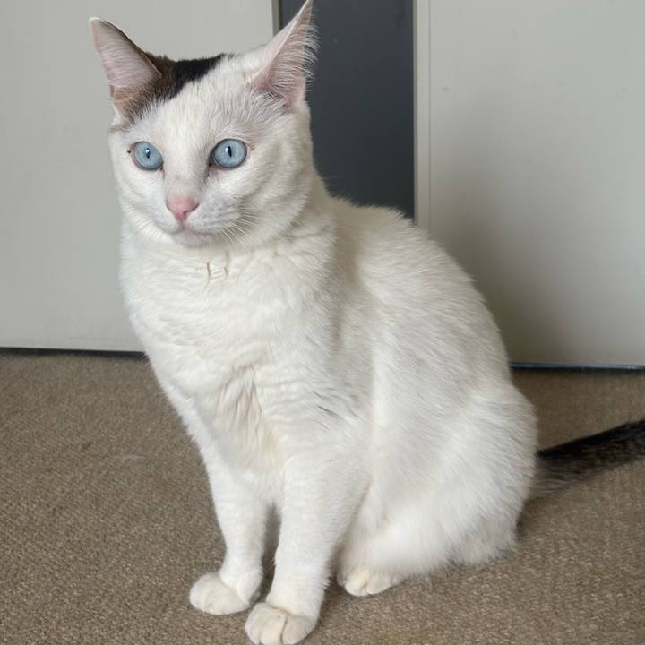 C67e325b 50d1 441a 8b6f bd6059737bbb 1774398489345