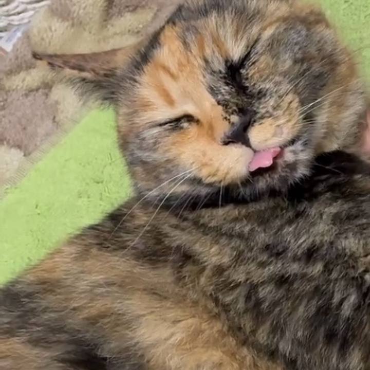 C67e349d acd3 43c3 bbe5 b60e47a10c91 1754724722132